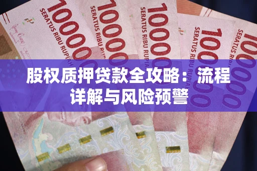 北京股权质押贷款全攻略：流程详解与风险预警