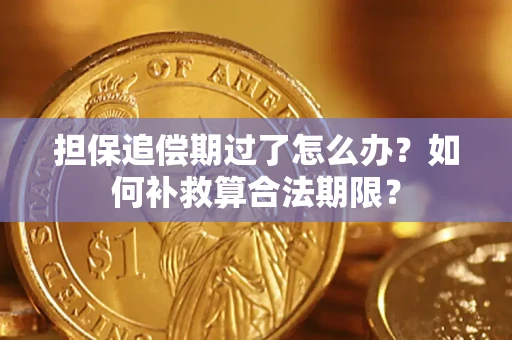 北京担保追偿期过了怎么办？如何补救算合法期限？