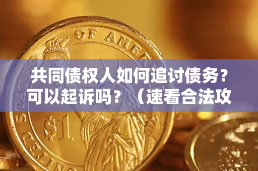 北京共同债权人如何追讨债务？可以起诉吗？（速看合法攻略）